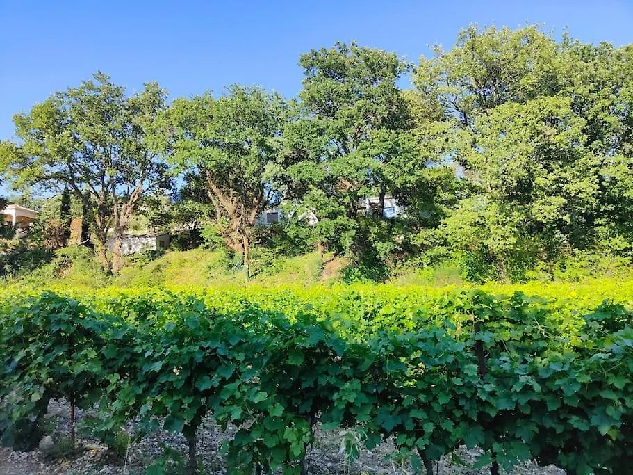 Ferienhaus Maison Dans Un Ecrin De Chenes Provencale Saint-Maurice-sur-Eygues