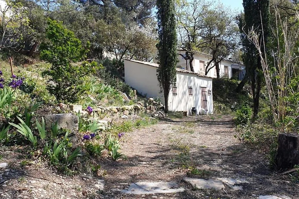 maison dans un écrin de chênes provençale Saint-Maurice-sur-Eygues France