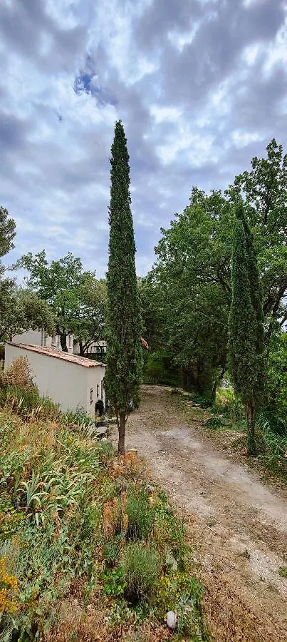 maison dans un écrin de chênes provençale Saint-Maurice-sur-Eygues