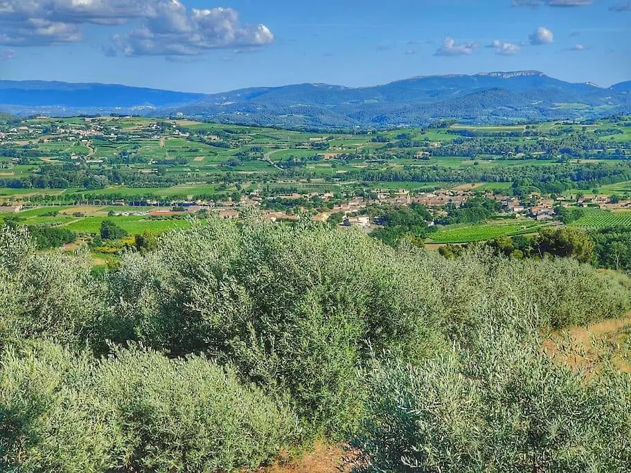 Hébergement de vacances maison dans un écrin de chênes provençale Saint-Maurice-sur-Eygues
