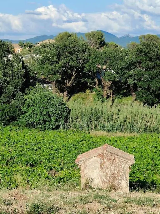 maison dans un écrin de chênes provençale Saint-Maurice-sur-Eygues Hébergement de vacances